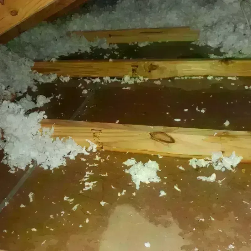 Attic Water Damage in Rural Hill, TN